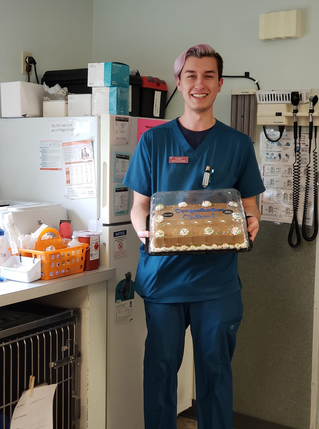 Nassau Veterinary Clinic Nassau, NY